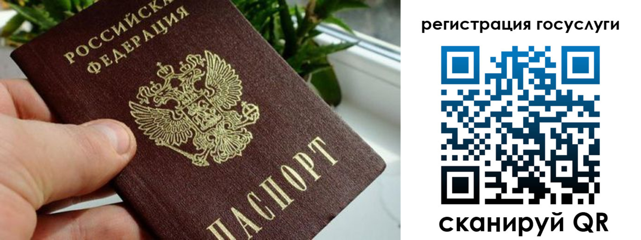 прописка для кредита в Кудрово